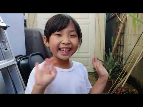 Ultimate Outdoor Worm Feed!