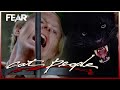 Zoo Keeper Is Mauled By A Leopard Cat People 1982