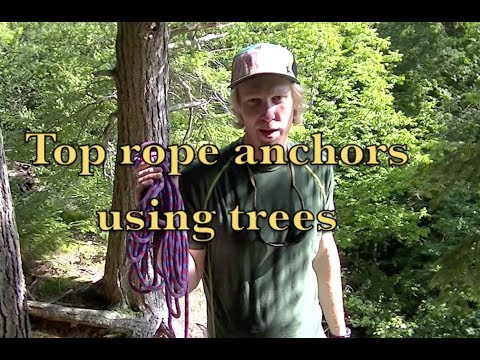 Rock Climbing Tree Anchors, Top Rope