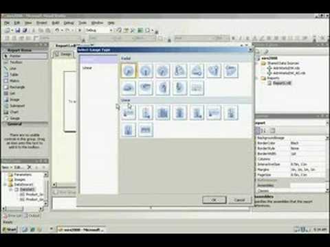 Did you know? SQL Server 2008 SSRS New Data Visualizations
