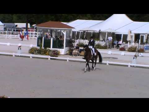 European Dressage Championship J/Y 2013. Jorinde Verwimp / Tiano (BEL)