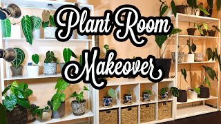 Plant Room Makeover: Anthurium Wall