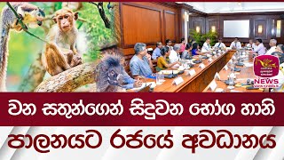 වන සතුන්ගෙන් සිදුවන භෝග හානි පාලනයට රජයේ අවධානය | Rupavahini News