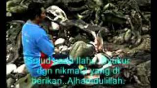 Download lagu Xpdc Broga & Lubok Tedong awal 2011_mpeg4.mp4 mp3