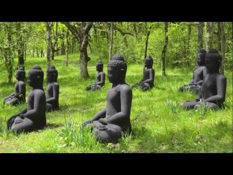 An là thở lạc là đi - Thầy Pháp Niệm