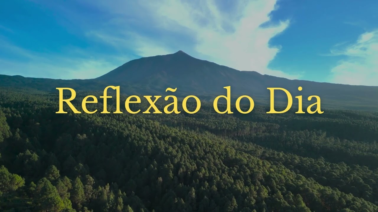 Reflexão do Dia - Sensação de Impunidade