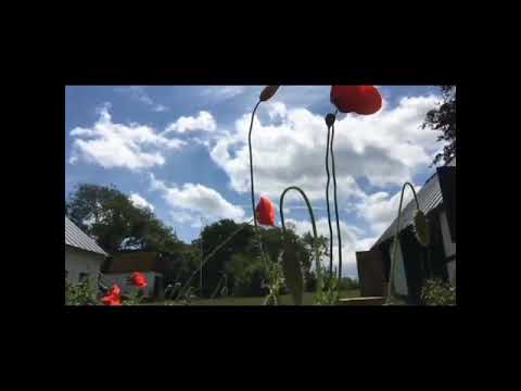 Malsawmna bul-C.Luri