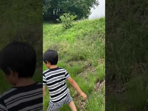 Túmulo de Otsurumaki Takasaki
