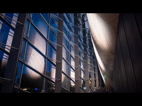 Behind the Scenes: Forward Into Light