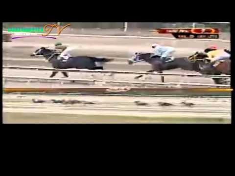 LA RINCONADA 7 CARRERA DOMINGO 06 DE ABRIL DEL 2014