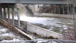 preview picture of video 'Fish ladder at Beaver River, Thornbury, Ontario'