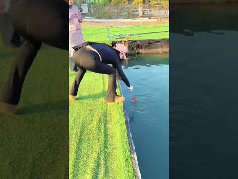 #shorts đam mê câu lure câu cá giải trí #1286 #fishing #cauca