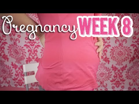 8 Weeks Pregnant /Pregnancy Vlog Update - First Doctors/Midwife, Screenings, & Pickles! Belly Shot Video