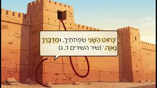 שיר השירים  סיפור אהבה נצחי