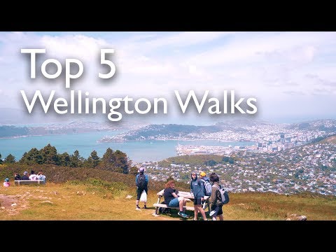 top 5 wellington walks to do this summer