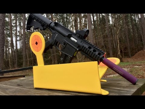 Birchwood Casey Bushwacker .22LR Target
