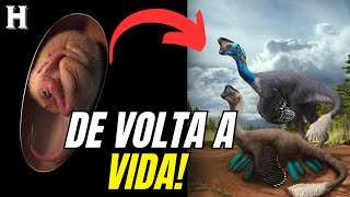 O FÓSSIL ENCONTRADO NA CHINA PODE SER PERIGOSO?