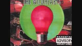 The Wildhearts  &quot;Do Anything&quot;  No.140