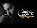 Reza Sadeghi - Shabe Barooni | Full Album Mix رضا صادقی - آلبوم شب بارونی