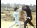 MANTIS FIST VS EAGLES CLAW
