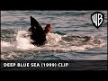 How To Stop A Ravenous Shark Deep Blue Sea 1999 Warner Bros UK