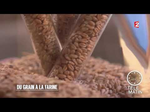 Conso - Du grain… à la farine