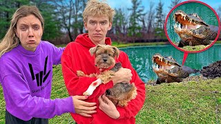 ALLIGATOR ATTACKED MY DOG!! will he be okay…
