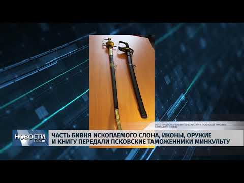 03.04.2019 / Часть бивня ископаемого слона, иконы, оружие и книгу передали псковские таможенники Минкульту