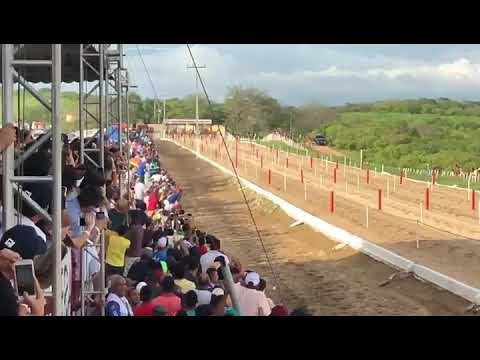 Final XII GP HARAS PRIMAVERA 2019