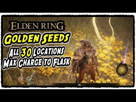 All Golden Seed Locations in Elden Ring How to Get Maximum Charge to Flask (All 30 Golden Seeds)