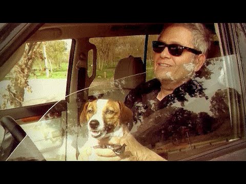 שלמה ארצי ואריק איינשטיין - חוזרים הביתה | קליפ