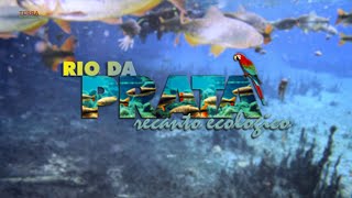 Miniatura do vídeo