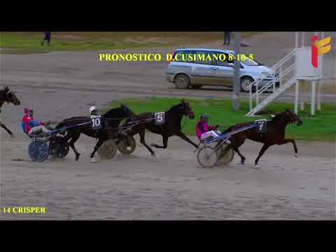 VI corsa del 26 novembre 2022 - 4 Anni - Metri 1600 - Gentlemen