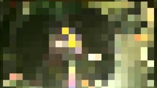 Patrick Adams presents - Phreek - May my love with you