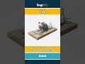 trap (noun) - definition and usage in English