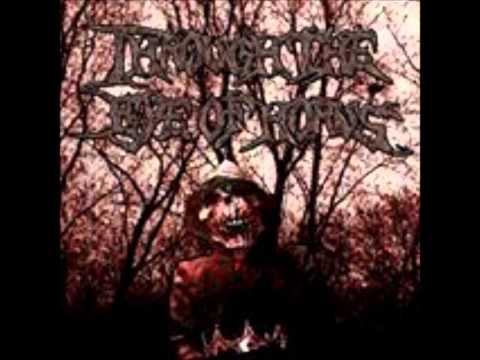 Resucito [Lyric Video] Matt's Lyrics Only