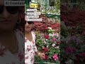 Ooty Trip 3 Days Itinerary Ooty Places To See In Ooty