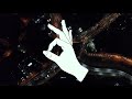 ANOTR - Self Love (Original Mix)
