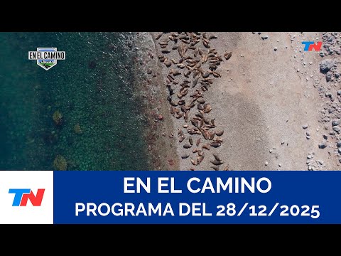 EN EL CAMINO I Puerto Deseado (Programa completo del 28/12/2025)