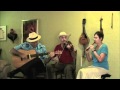 Swallowtail Jig by Brian Turner and The Freiters
