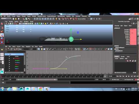 Ease In & Ease Out - Rosana Marar