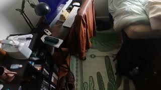 Room in Greenpoint $1050/month