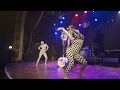 Circus Drummer DJ Promo