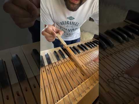 How Harmonium Works or What inside #shorts