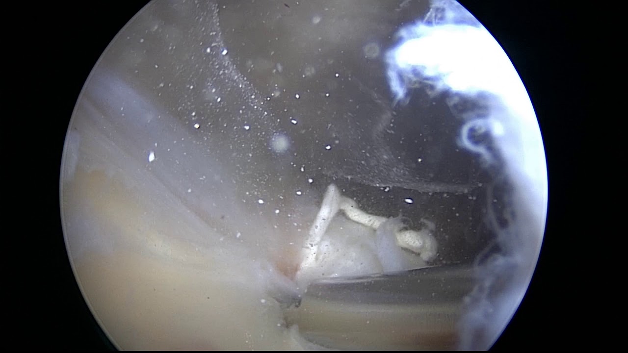 Roberto Postacchini-14