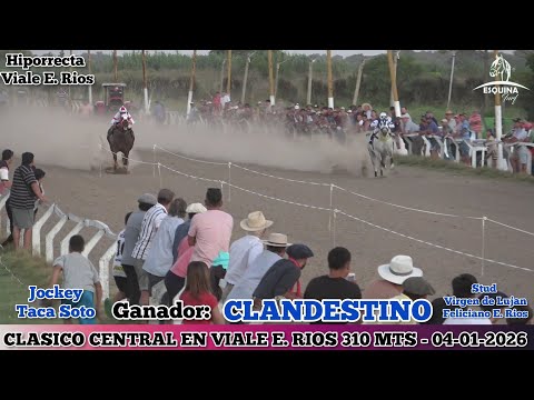 CLANDESTINI (Feliciano) Hiporrecta Viale E. Rios - 04-01-202