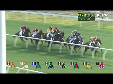 12/2/2022 (421) Texas Moon - D Moor