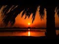Video for Mindfulness and Meditation Videos