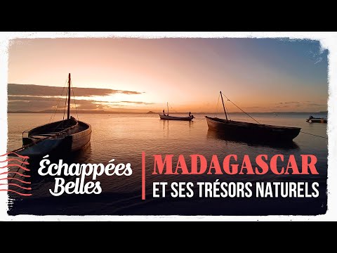 Émission spéciale : Madagascar et ses trésors naturels - Échappées belles