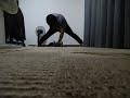 片手腹筋ローラー6回 One Arm 6 Ab Wheel「Wide Leg Stance」